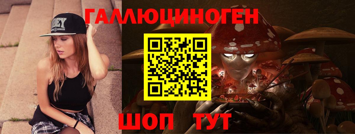 Псилоцибиновые грибы Cubensis Кызыл